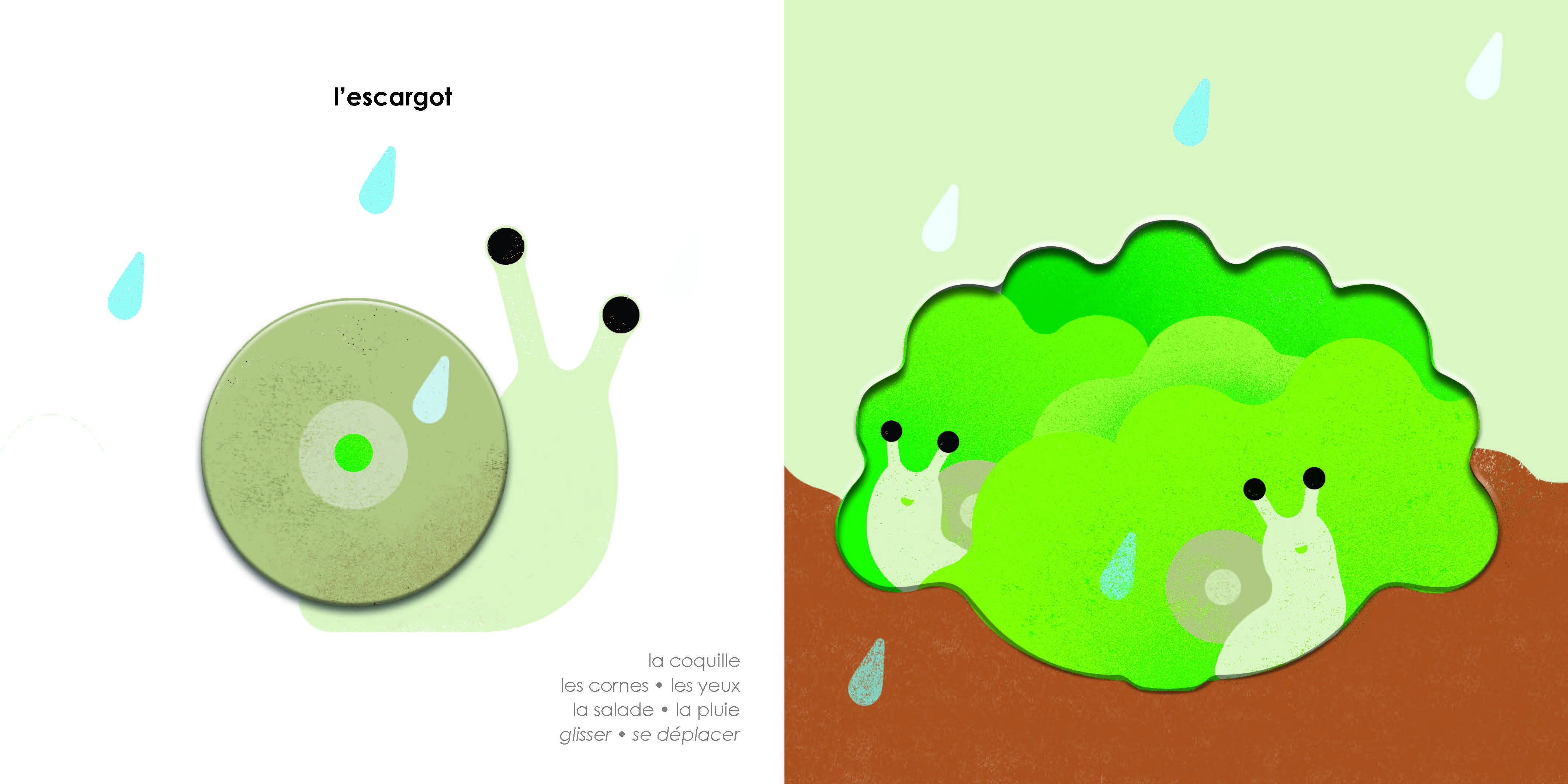 MES ANIMAUX DU JARDIN