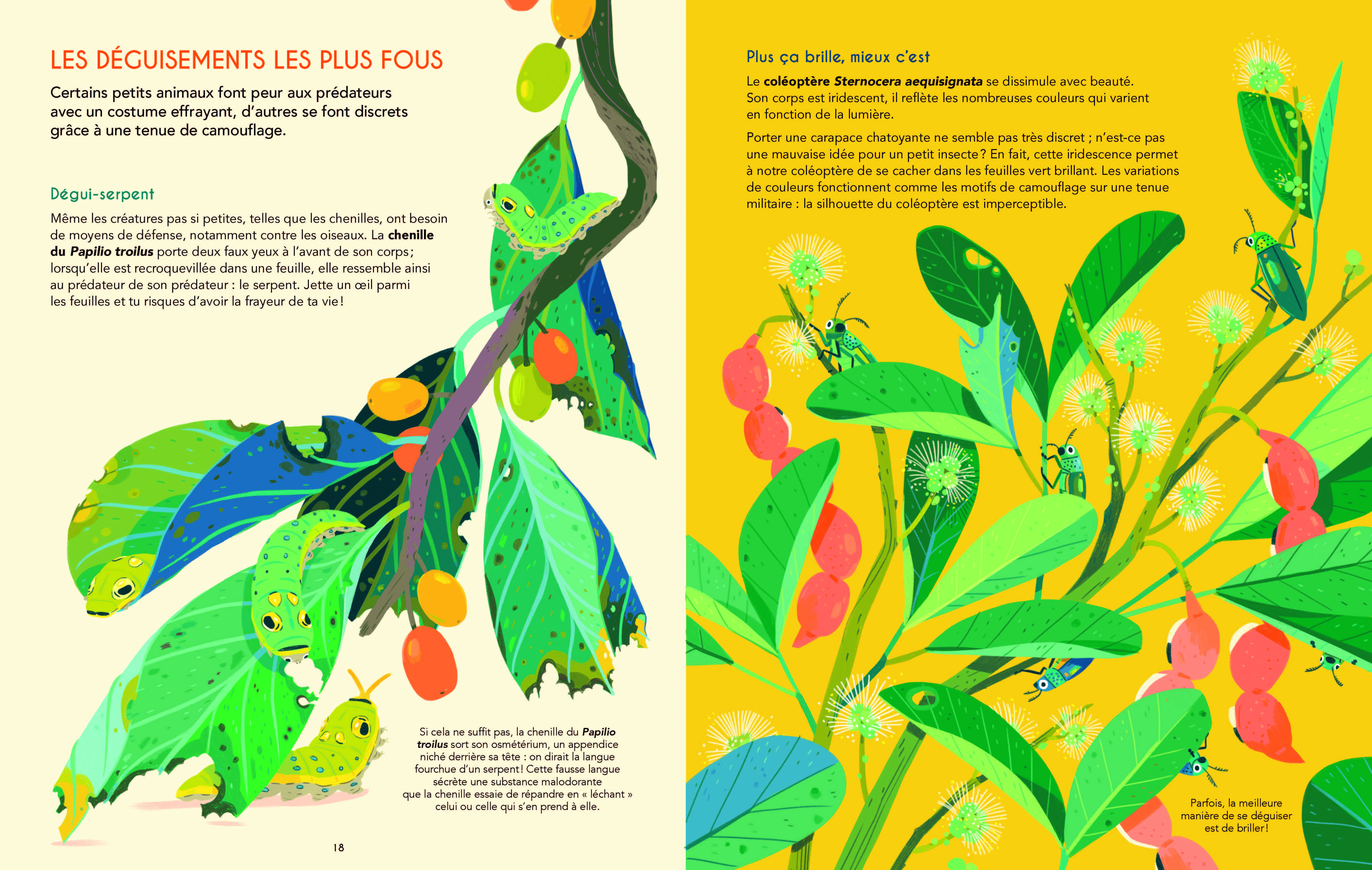 PETITS MAIS COSTAUDS : LE POUVOIR EXTRAORDINAIRE DES ANIMAUX 