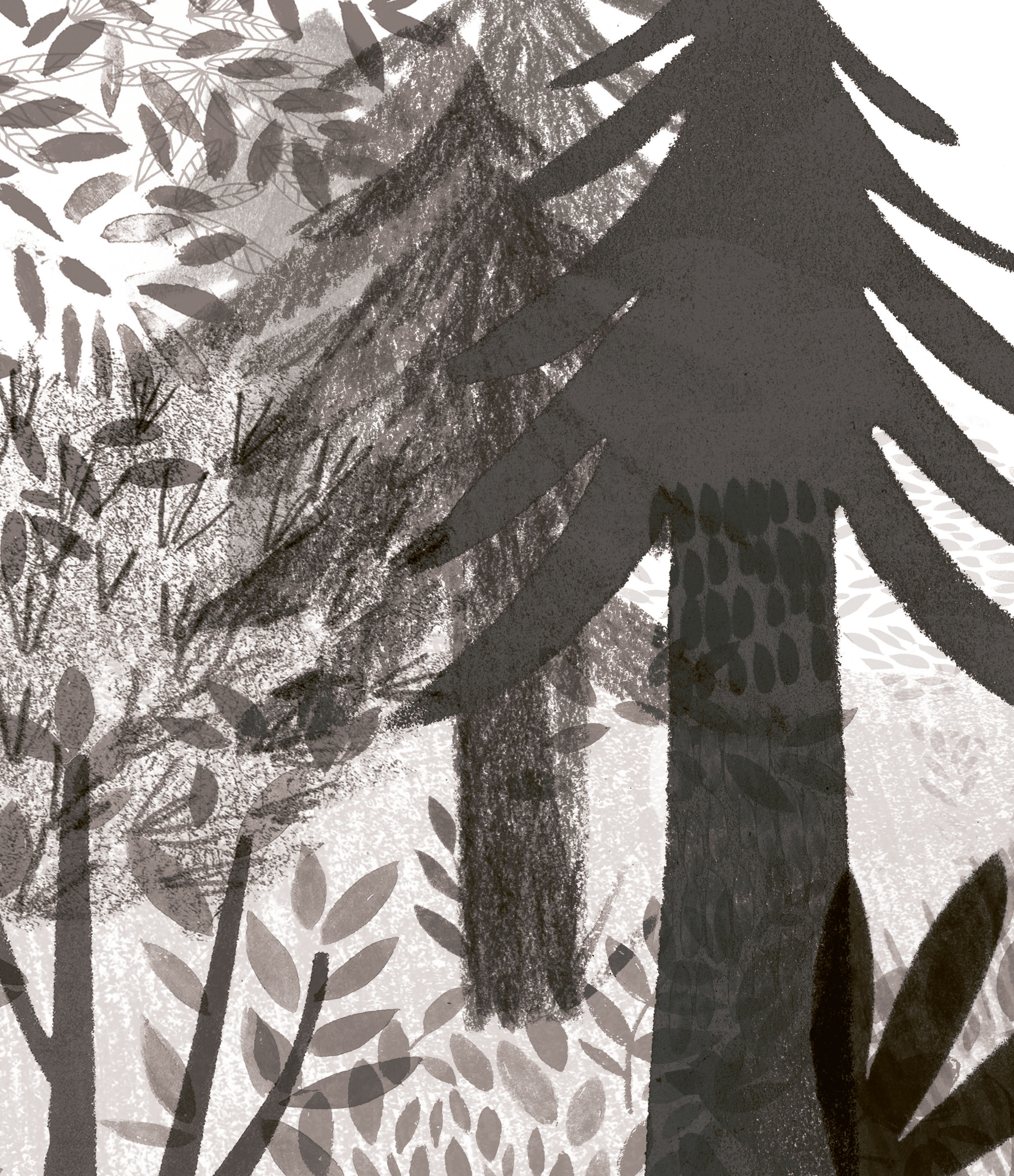 RENARDO VOIT LA VIE EN COULEURS