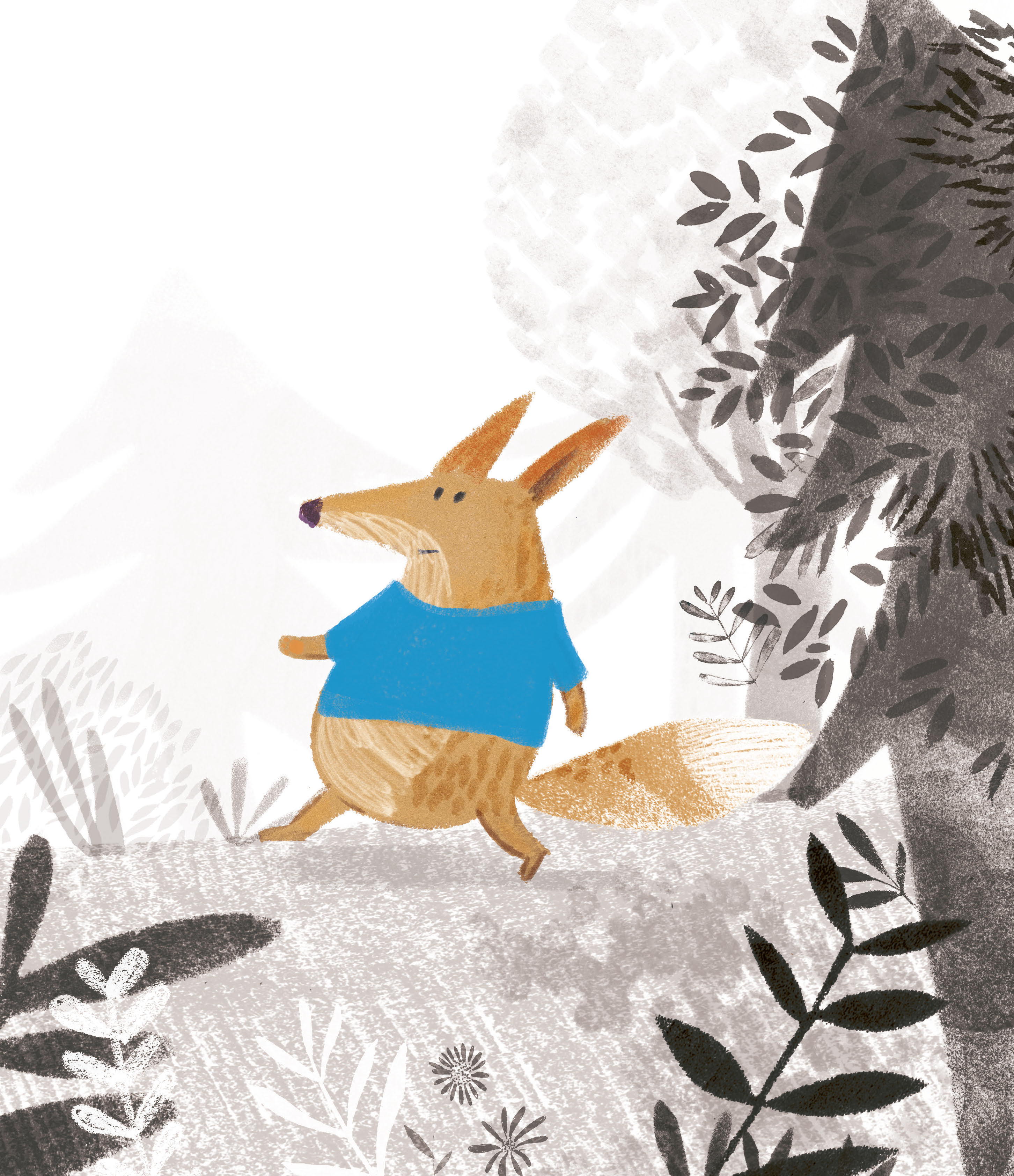 RENARDO VOIT LA VIE EN COULEURS