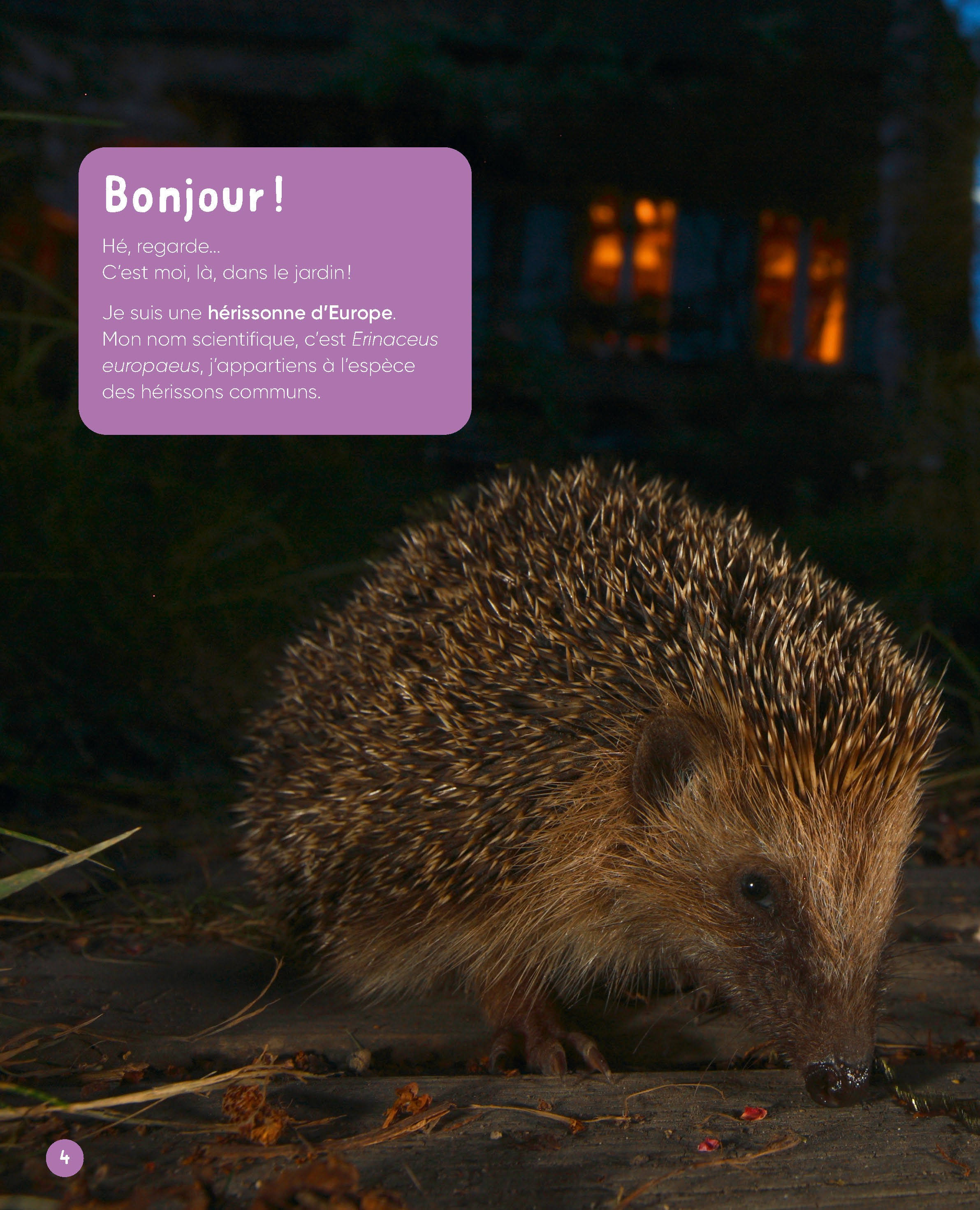 VIS MA VIE DE HERISSON