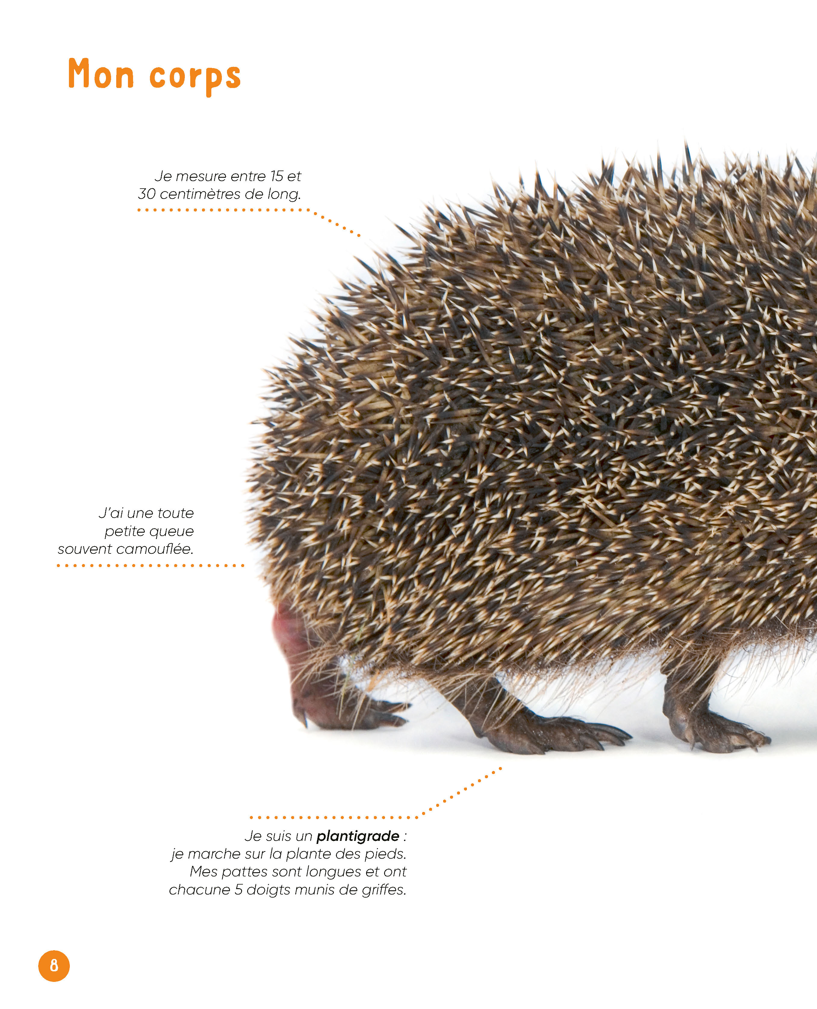 VIS MA VIE DE HERISSON