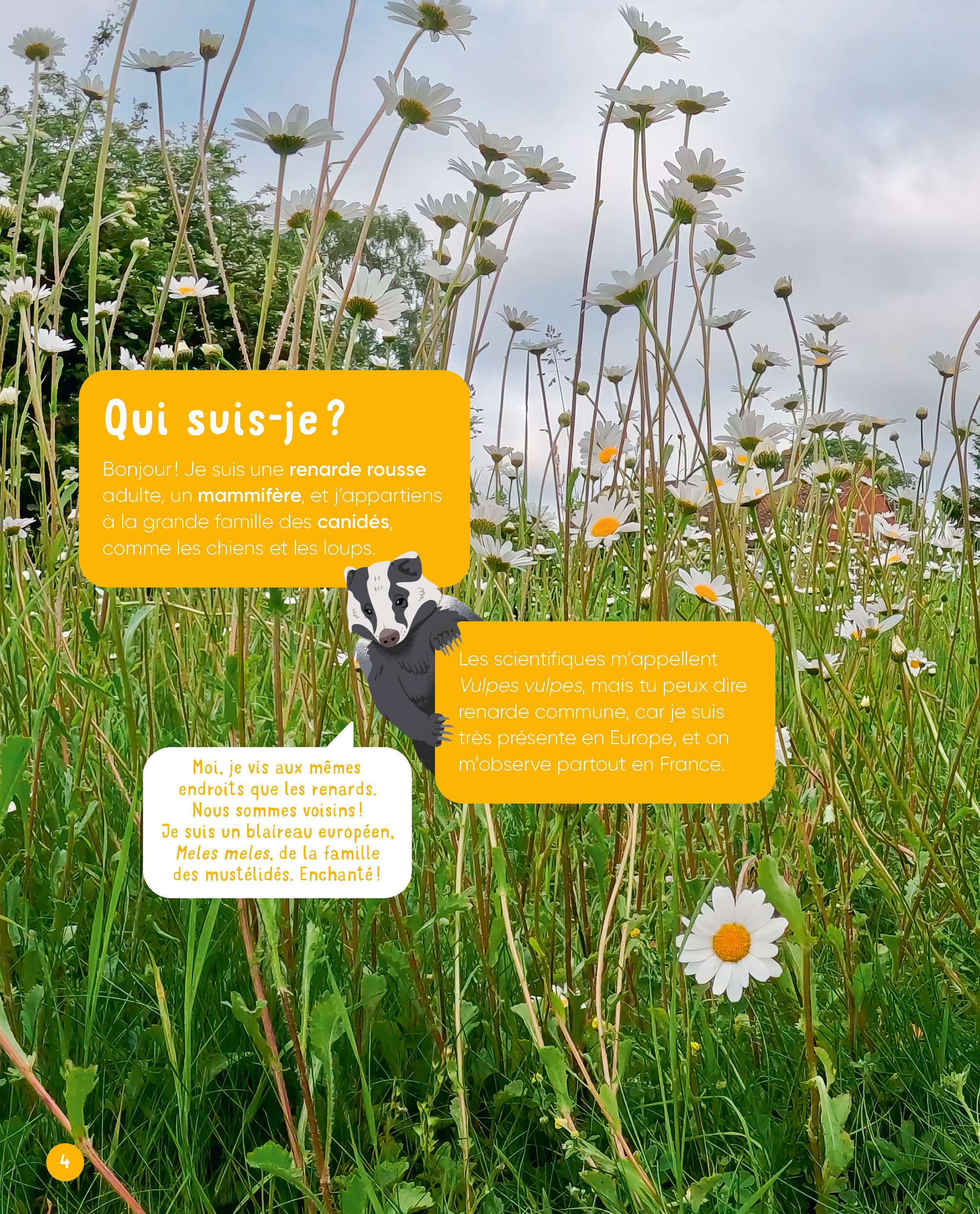 VIS MA VIE DE RENARD