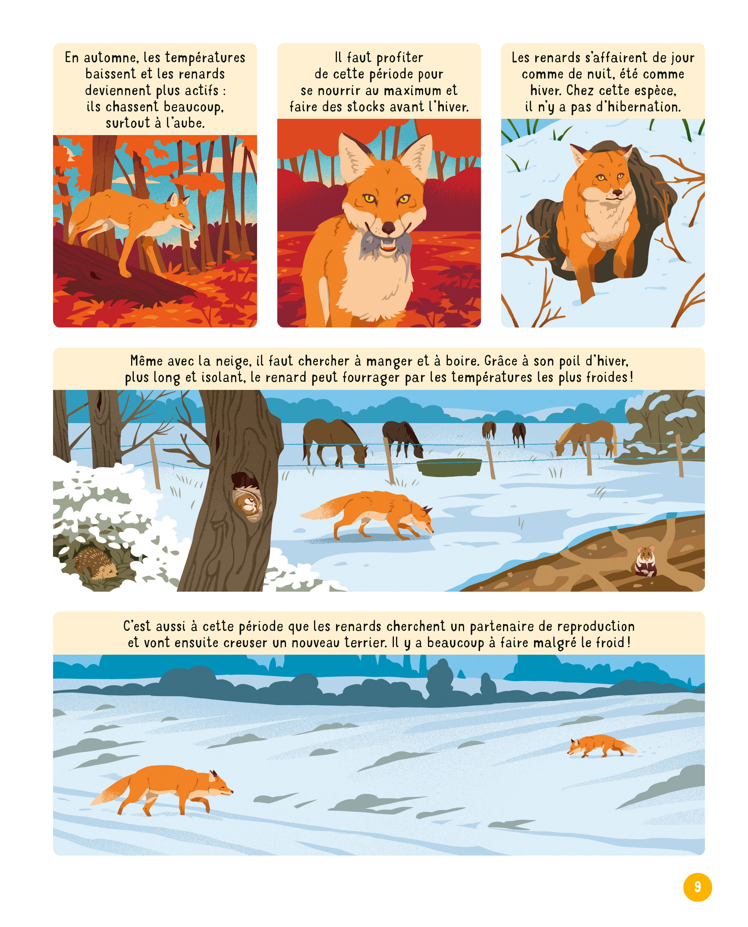 VIS MA VIE DE RENARD