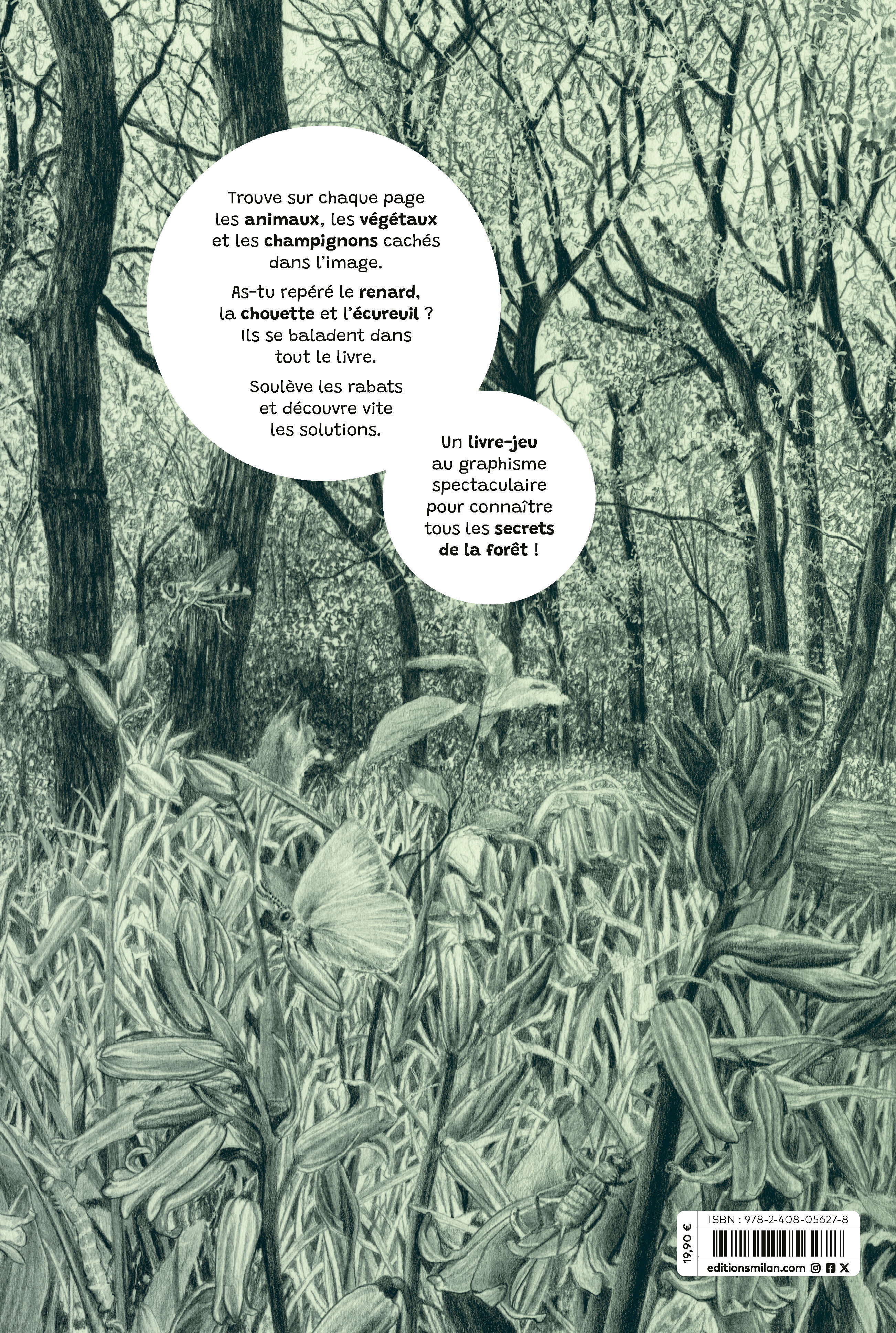 LA FORET DES MERVEILLES