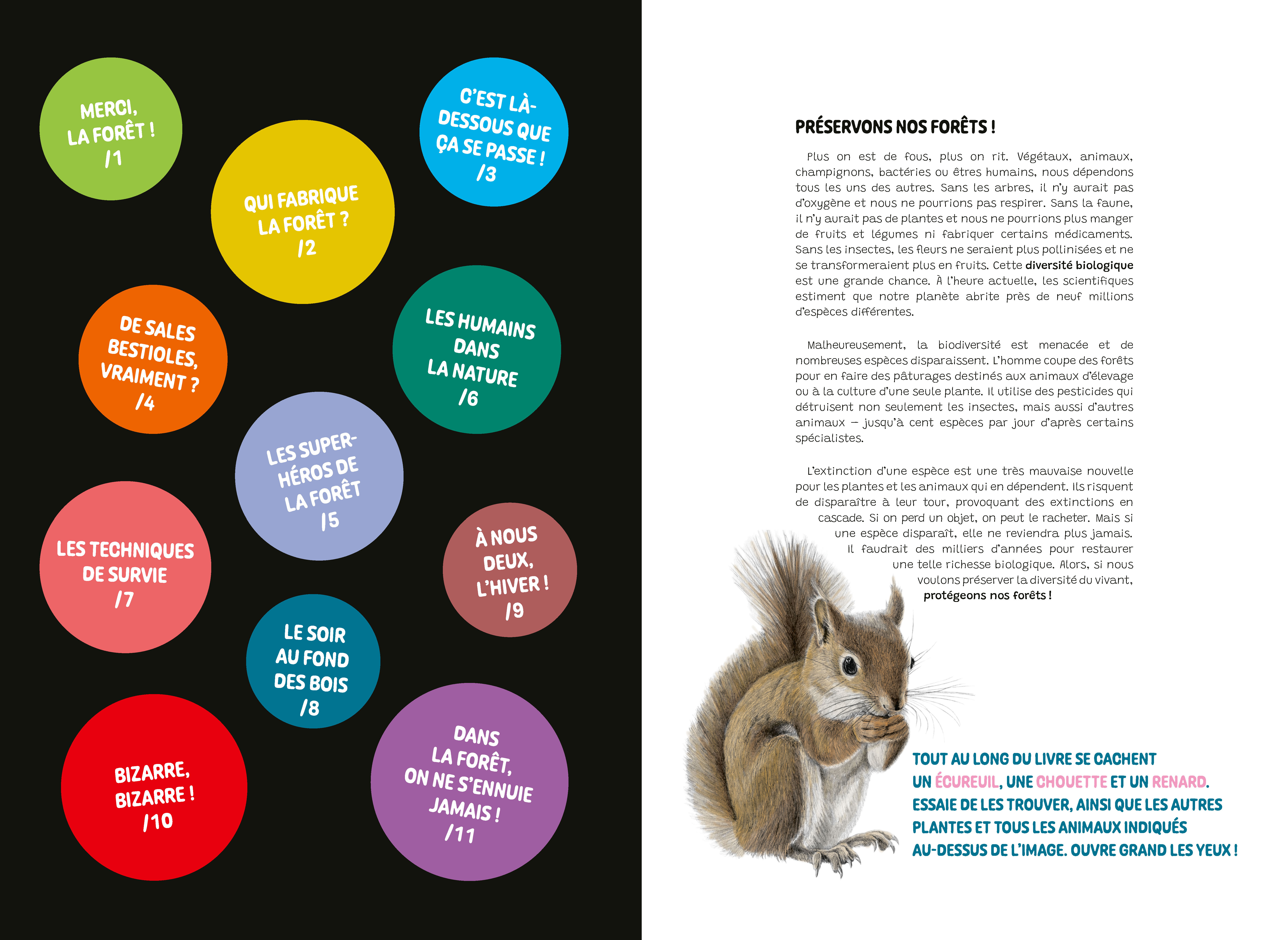 LA FORET DES MERVEILLES