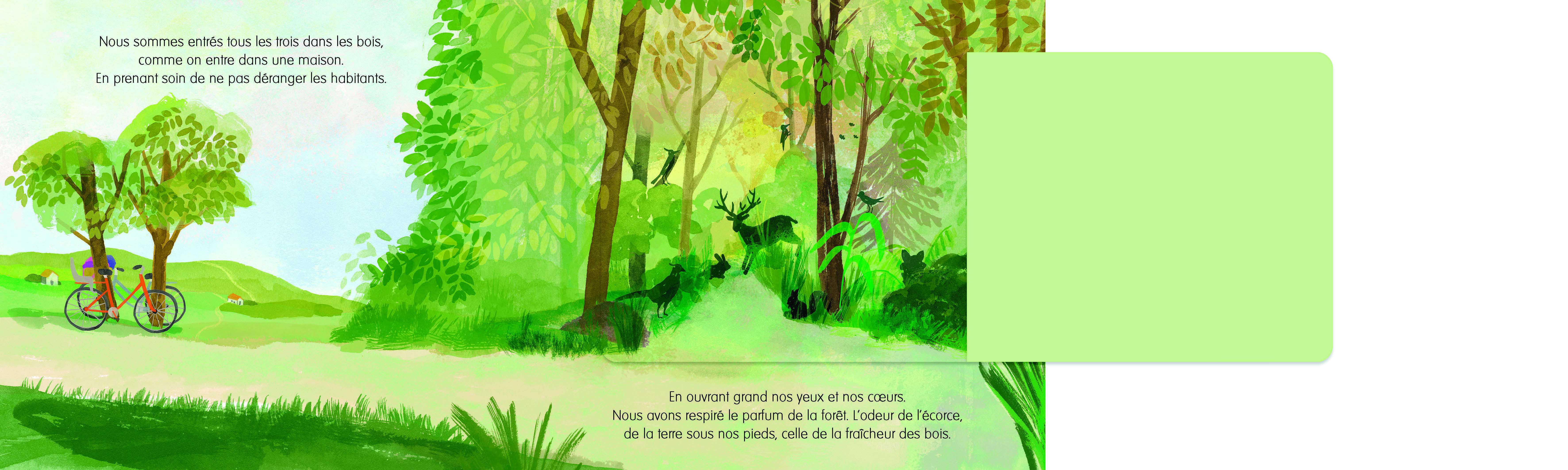 A PETITS PAS DANS LES BOIS