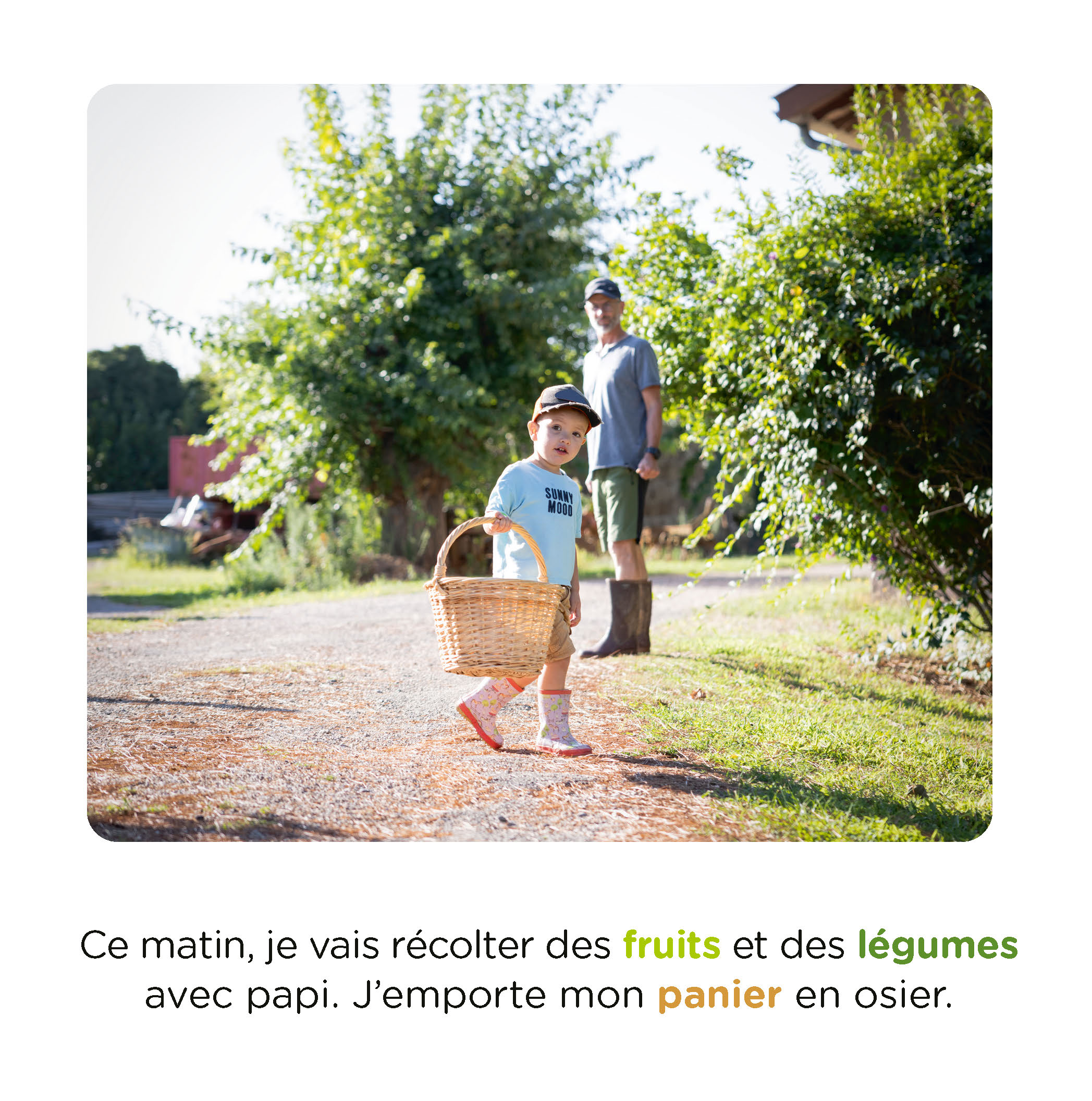 CUEILLETTE A LA FERME