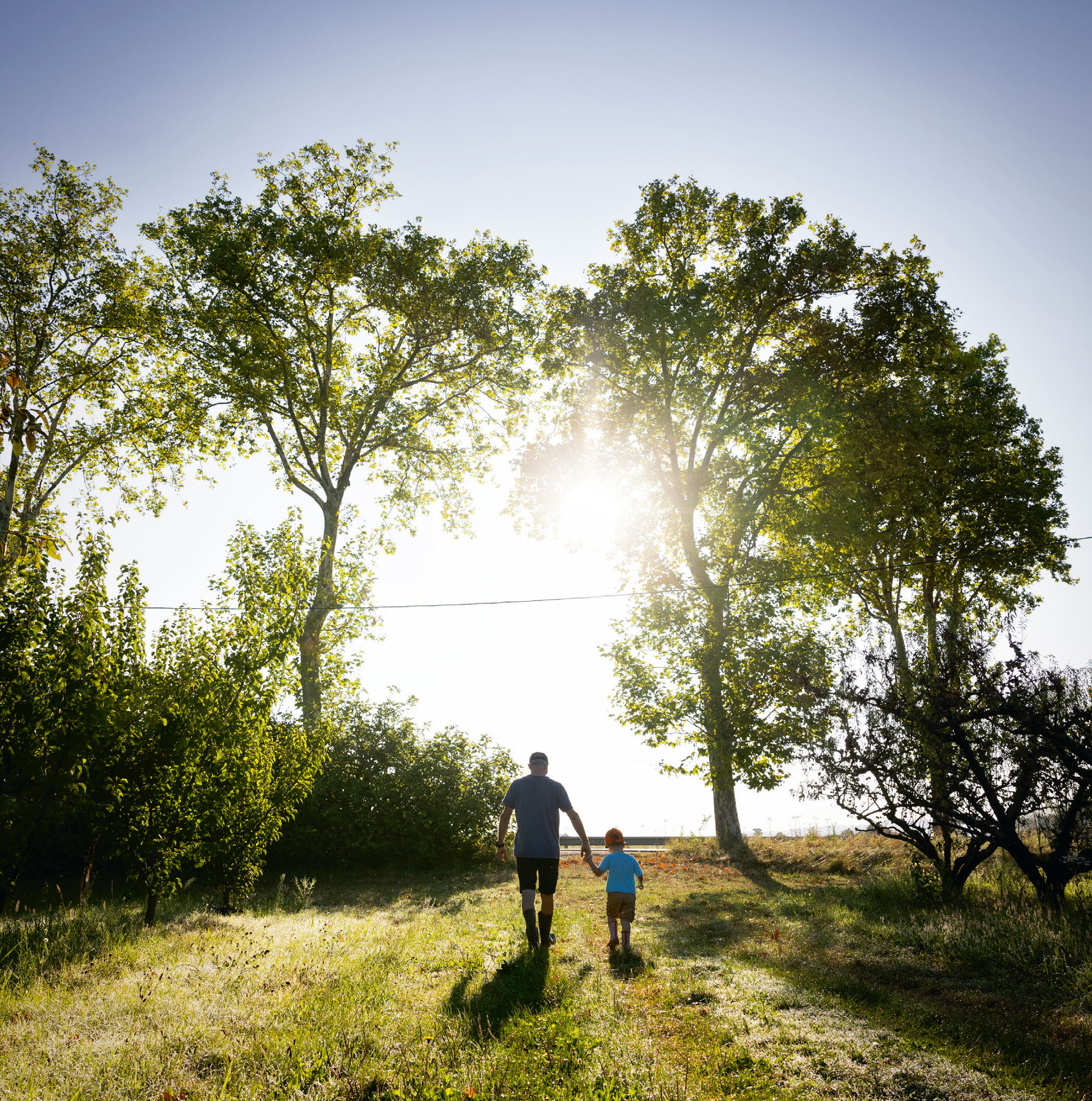CUEILLETTE A LA FERME
