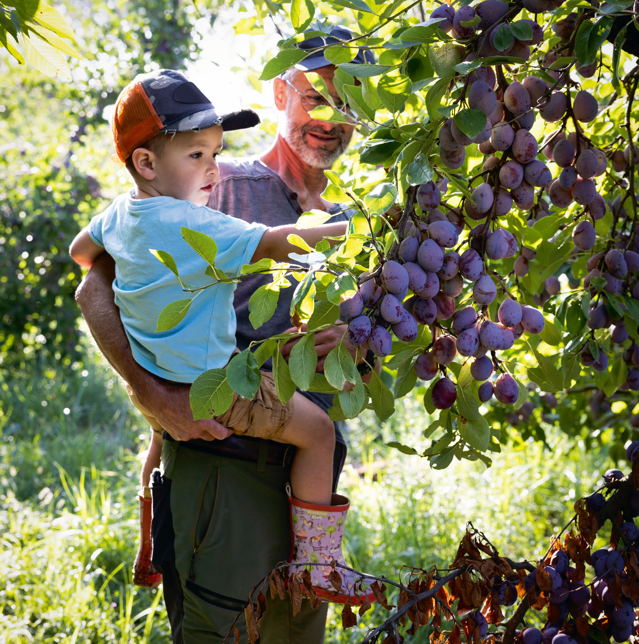CUEILLETTE A LA FERME