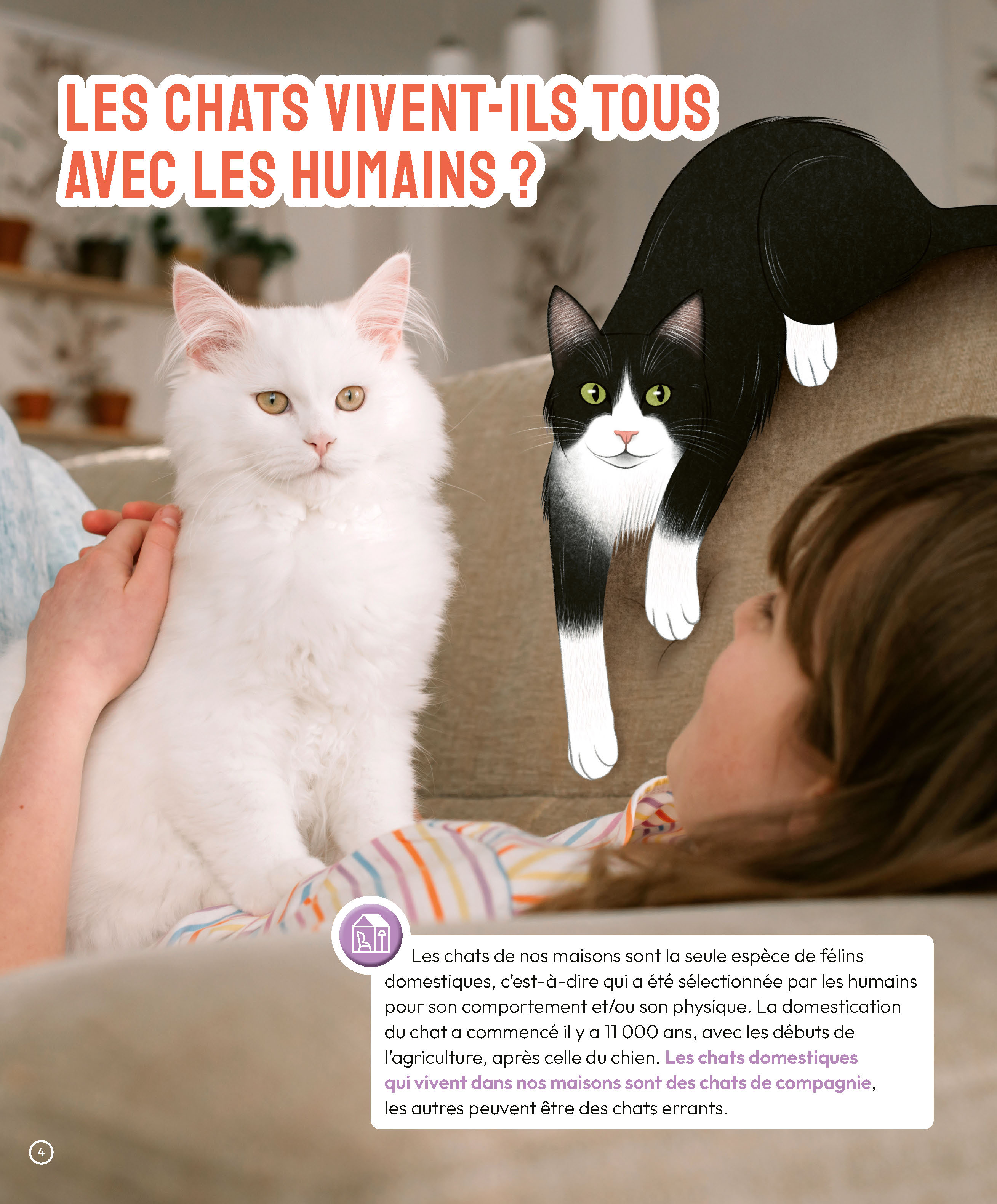 LES CHATS
