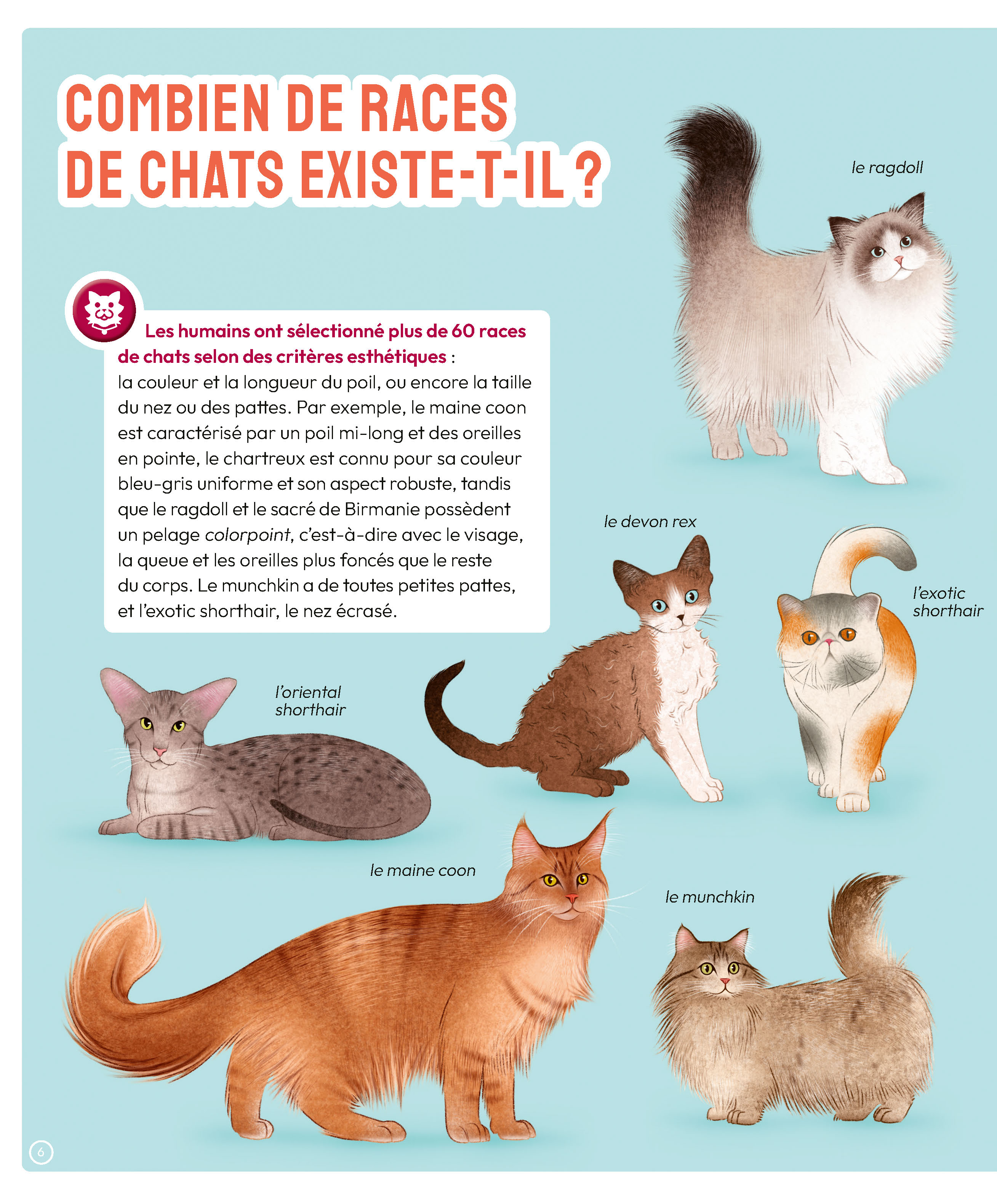 LES CHATS
