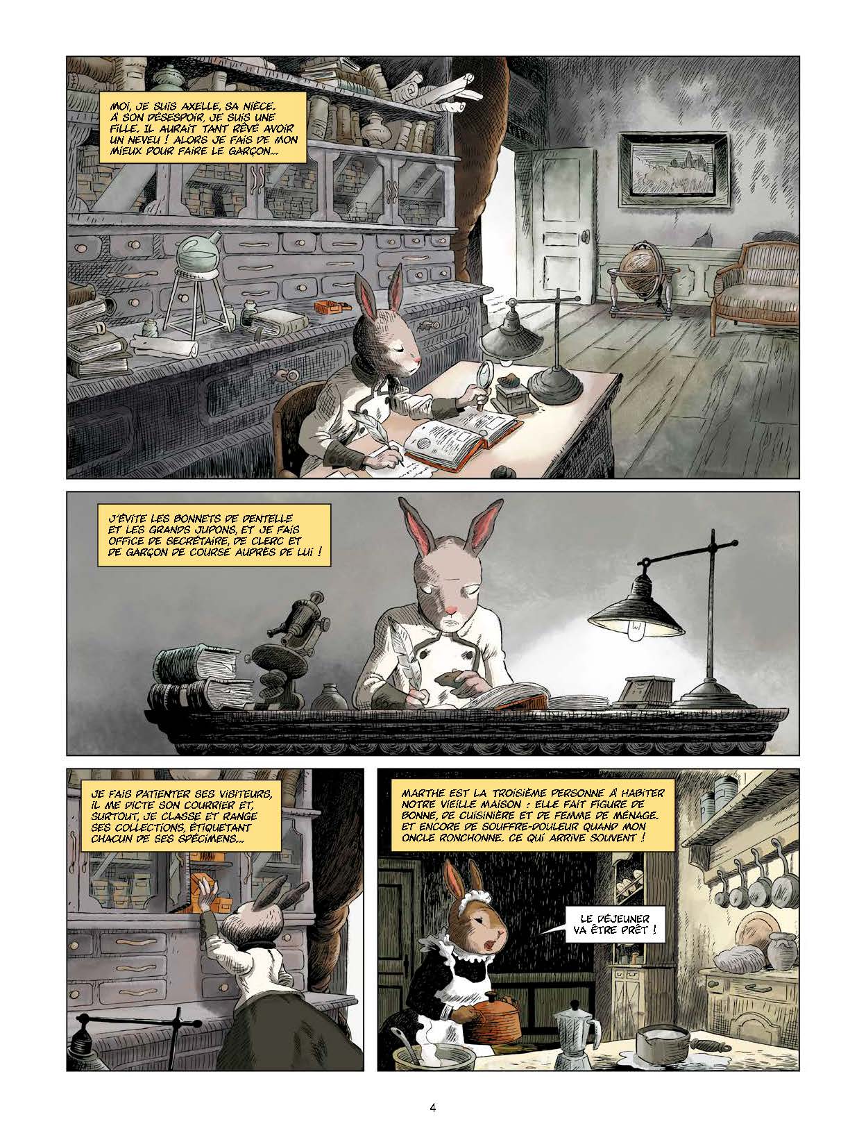 VOYAGE AU CENTRE DE LA TERRE : DE JULES VERNE T1 VOYAGE AU CENTRE DE LA TERRE : DE JULES VERNE T1