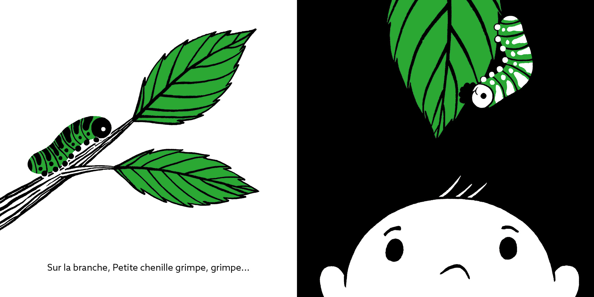 LES PETITES BETES QUI MONTENT, QUI MONTENT...