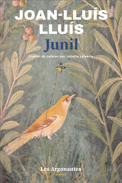 N° 22 JUNIL