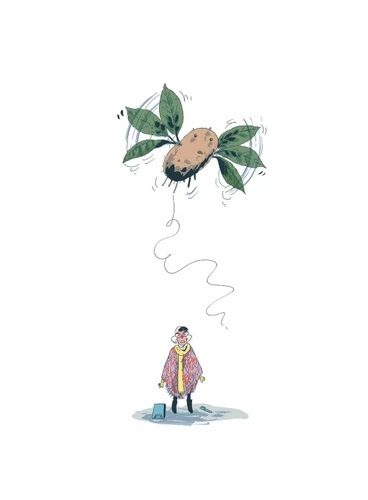 YASMINA ET LES MANGEURS DE PATATES