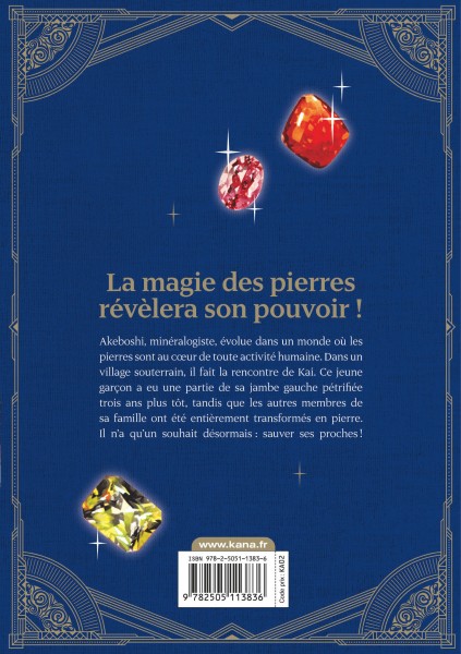 DIAMOND IN THE ROUGH T1