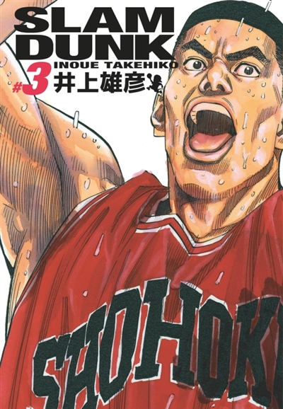 SLAM DUNK T3