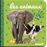 Voir les images