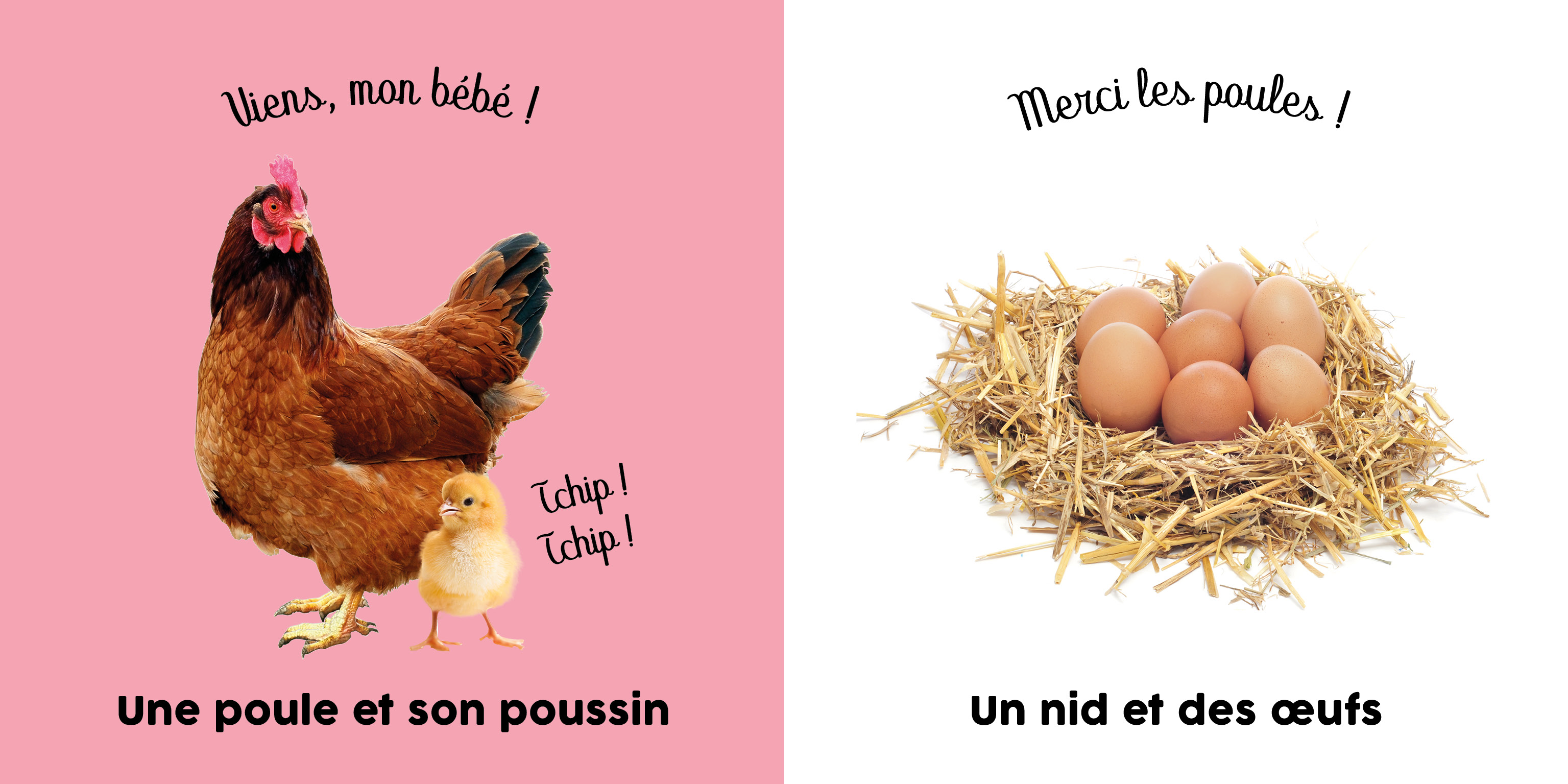 BEBE TOUCHE-A-TOUT - A LA FERME