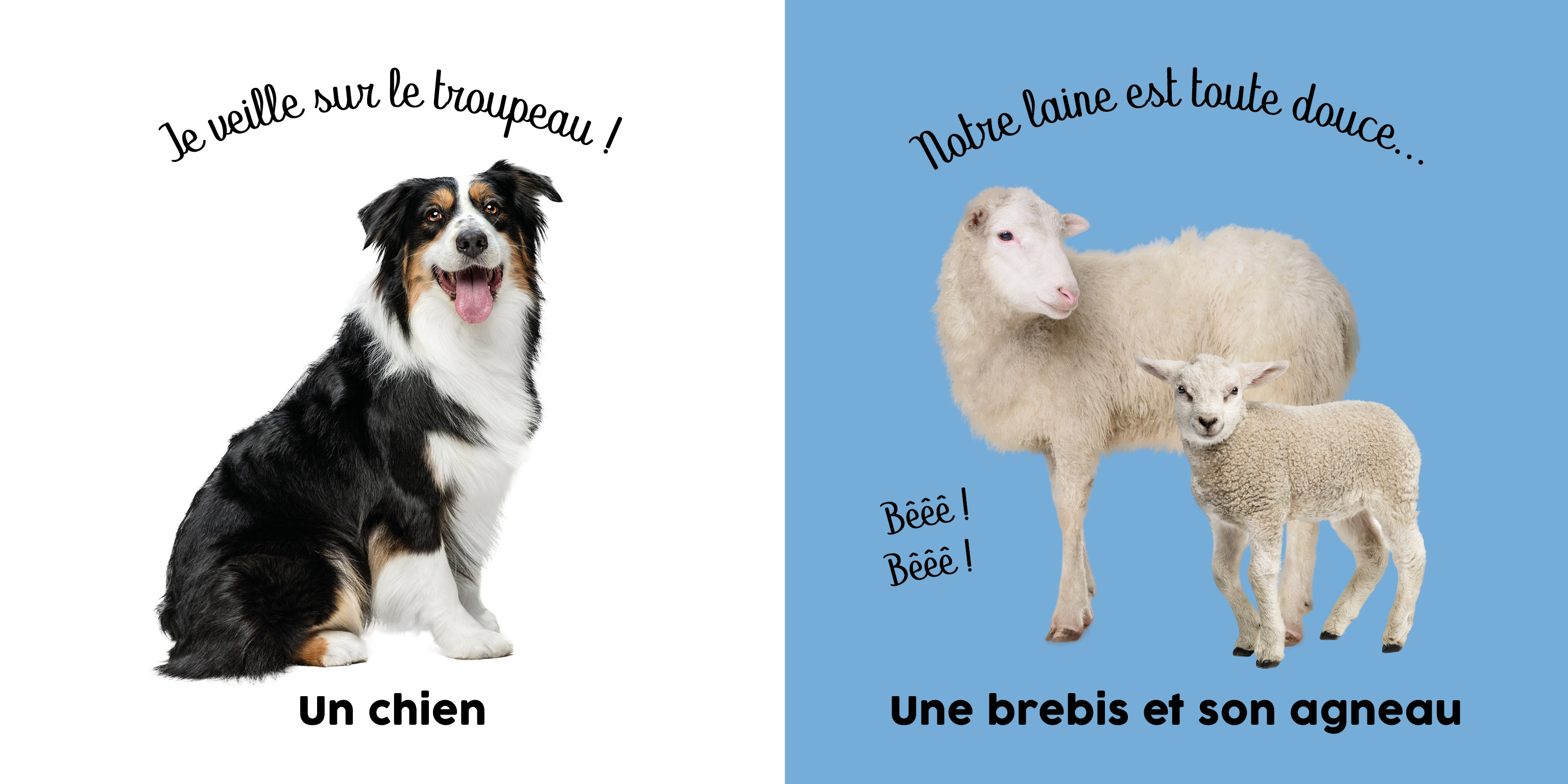 BEBE TOUCHE-A-TOUT - A LA FERME