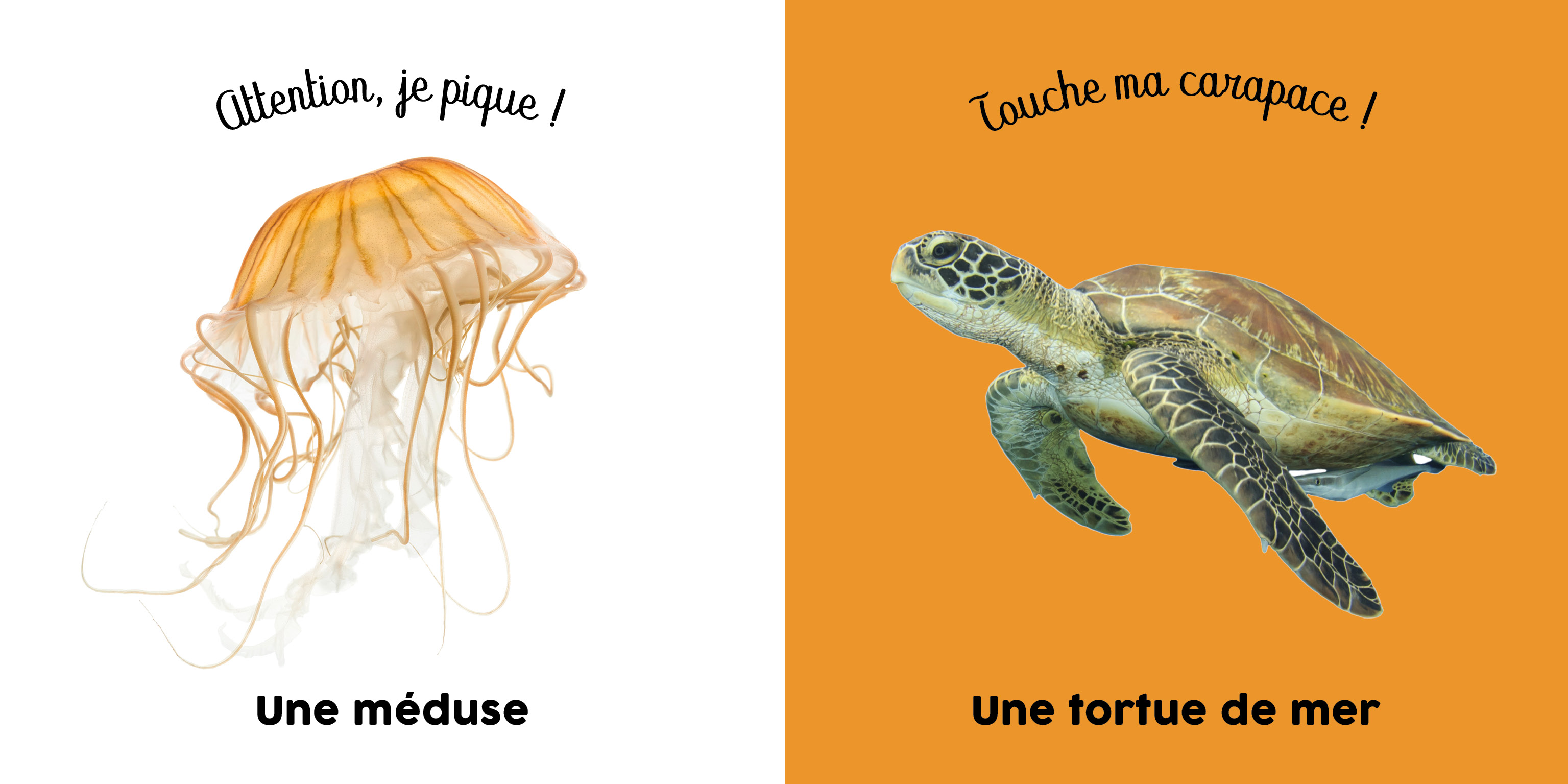 BEBE TOUCHE-A-TOUT - DANS L