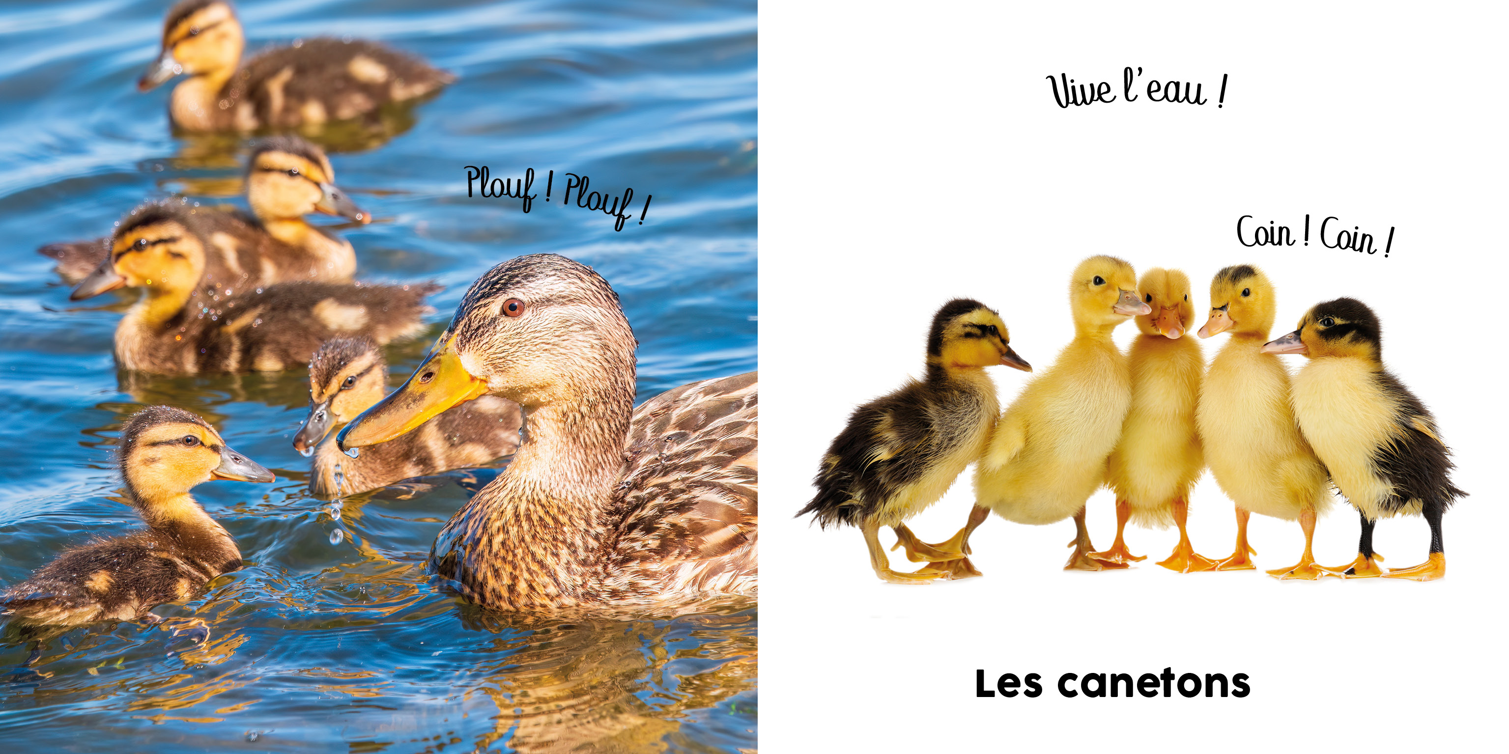 BEBE TOUCHE A TOUT - EN BALADE