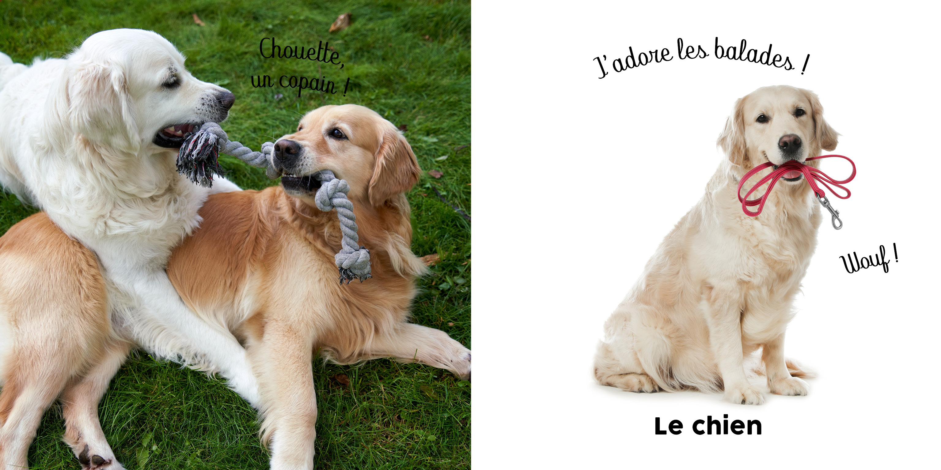 BEBE TOUCHE A TOUT - EN BALADE