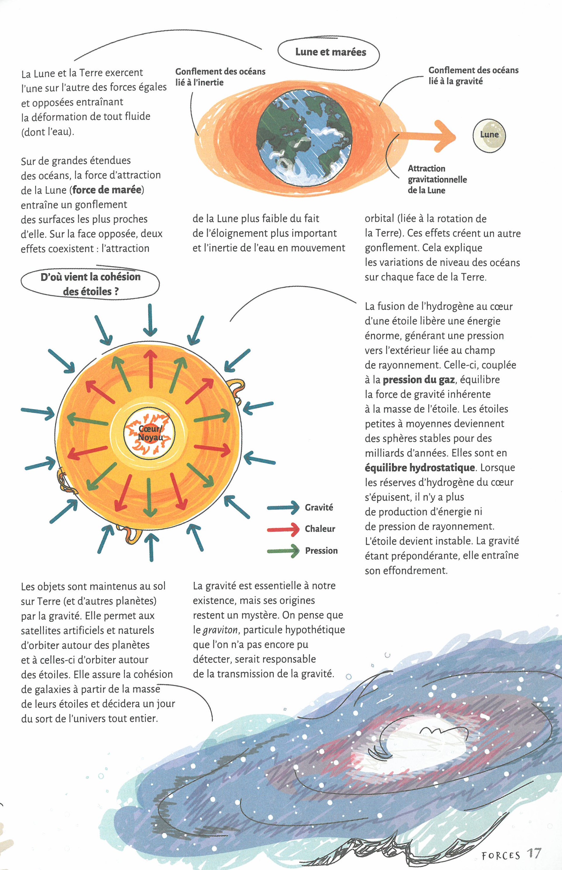 LES BASES DE LA PHYSIQUE EN 60 NOTIONS ILLUSTREES