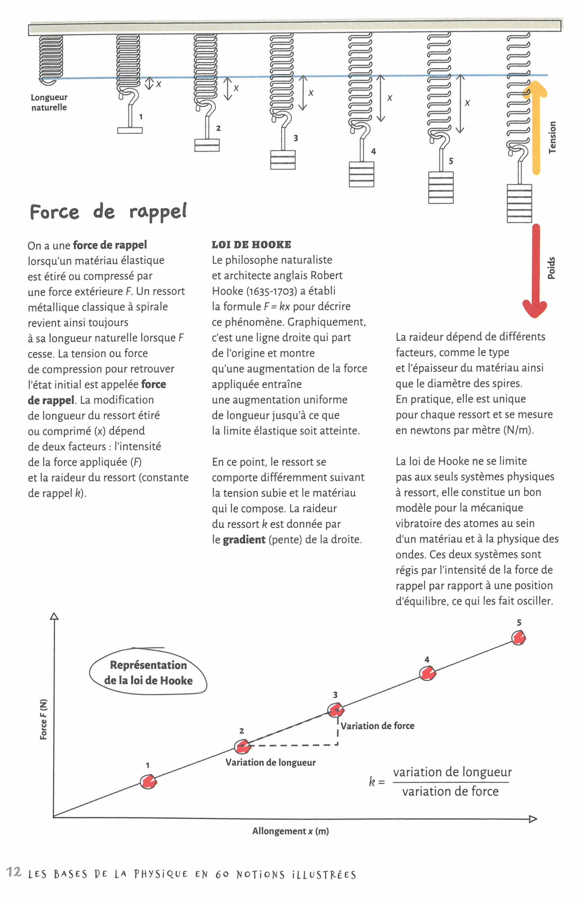 LES BASES DE LA PHYSIQUE EN 60 NOTIONS ILLUSTREES