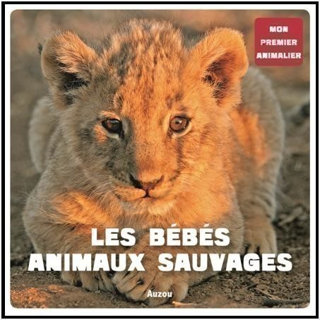 Les Bébés Animaux Sauvages
