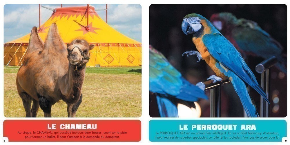 Les Animaux Du Cirque