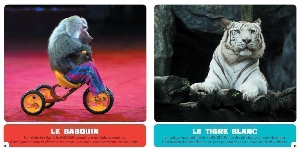 Les Animaux Du Cirque