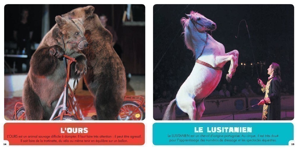 Les Animaux Du Cirque