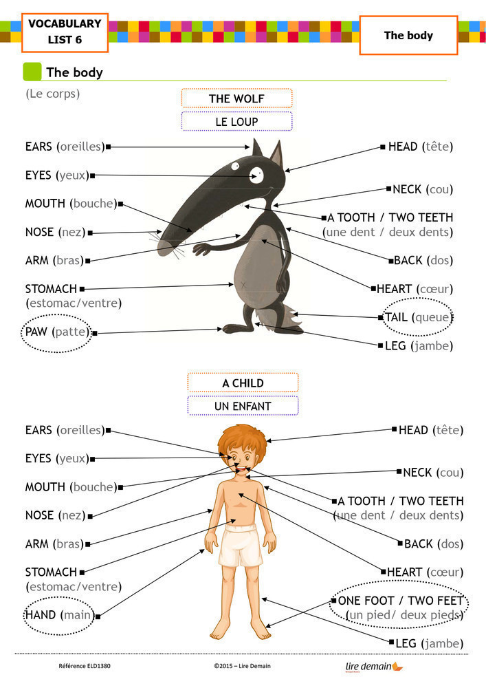LECTURE SUIVIE ANGLAIS - THE WOLF WHO WANTED TO CHANGE HIS COLOR (25 EX)