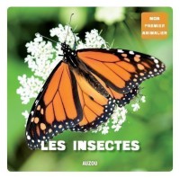 LES INSECTES