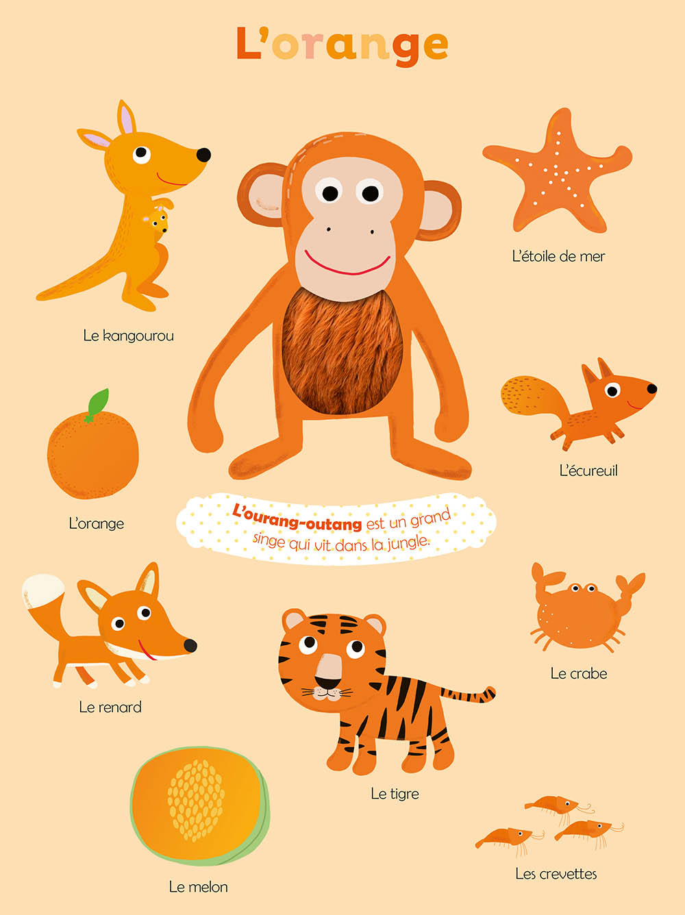 MES PREMIERES COULEURS A TOUCHER