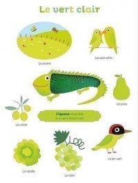 MES PREMIERES COULEURS A TOUCHER