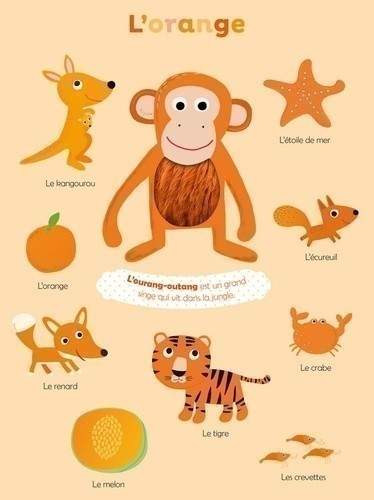 Mes Premières Couleurs À Toucher