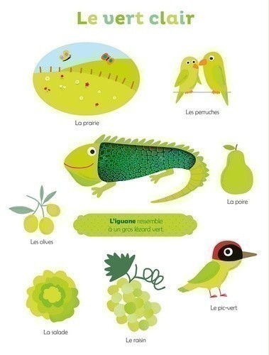 MES PREMIERES COULEURS A TOUCHER