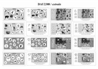 KAMISHIBAI MES PREMIERS ANIMAUX A DECOUVRIR