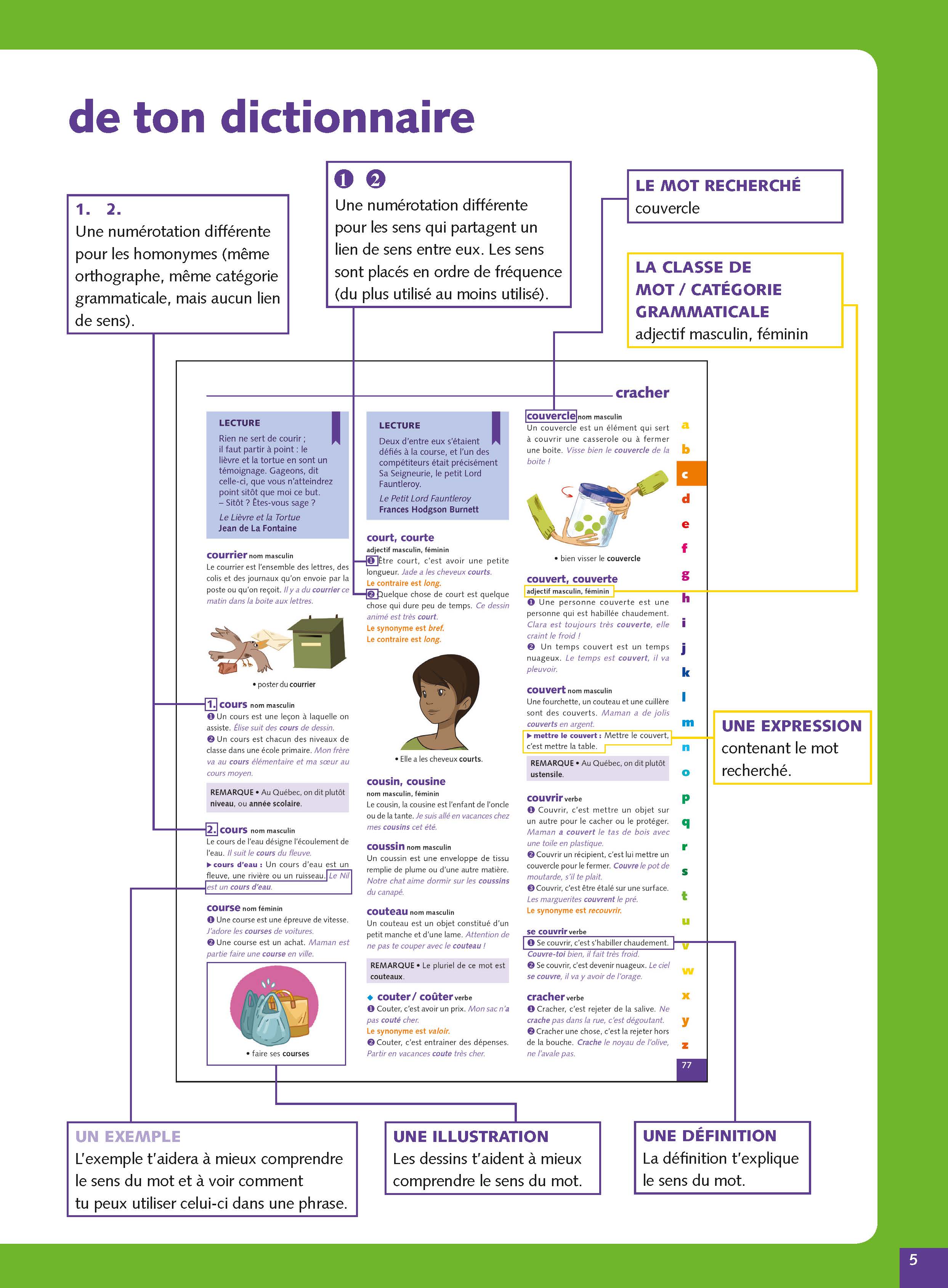 DICTIONNAIRE DE FRANCAIS DEBUTANT (GRAND FORMAT SOUPLE)