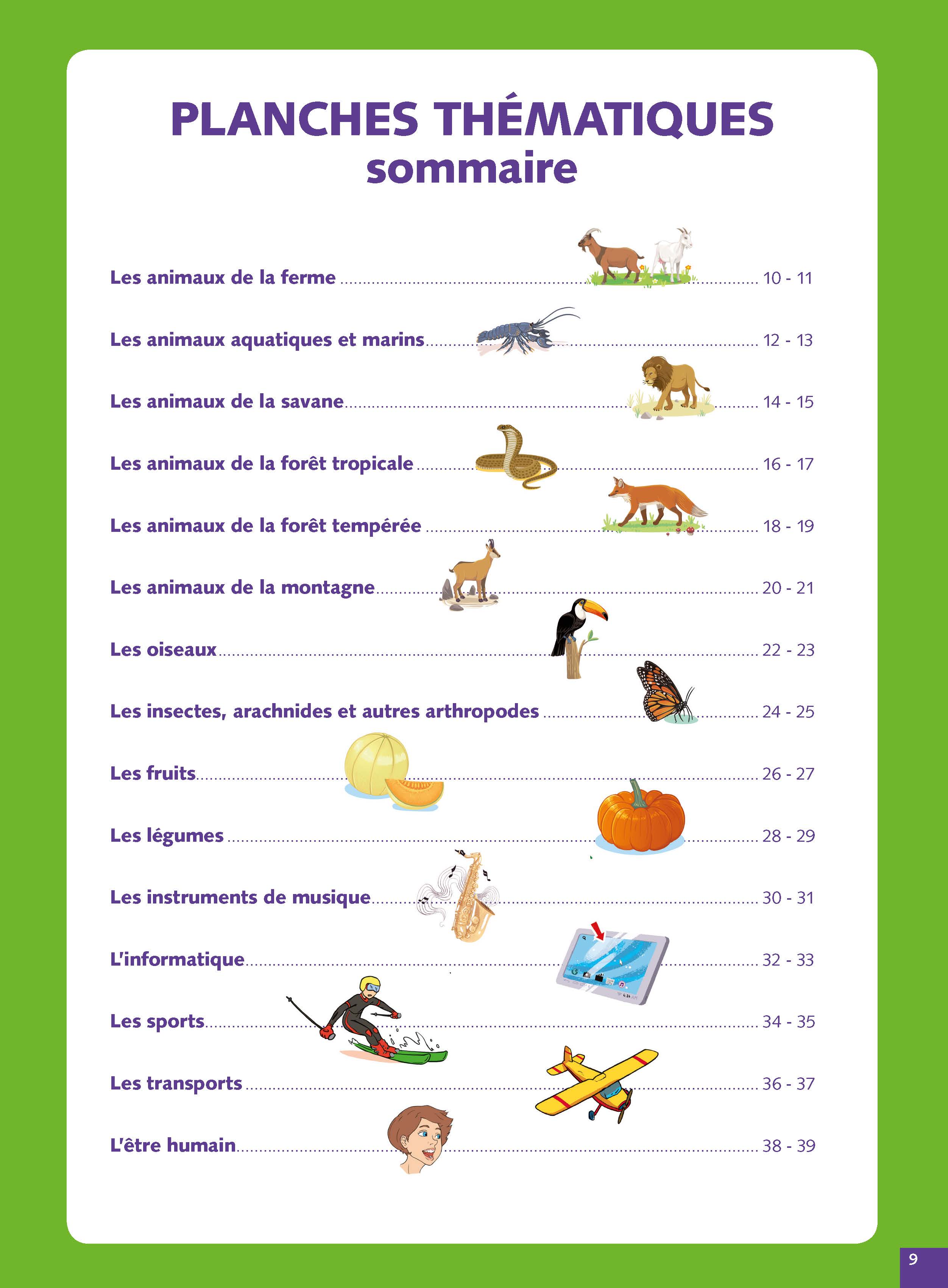 DICTIONNAIRE DE FRANCAIS DEBUTANT (GRAND FORMAT SOUPLE)