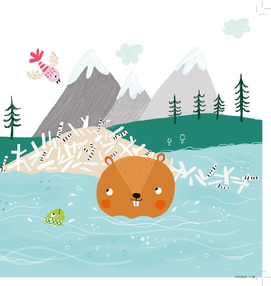 Flore Castor Cherche À S'occuper