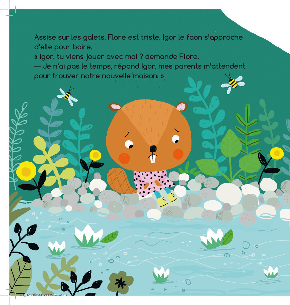 Flore Castor Cherche À S'occuper