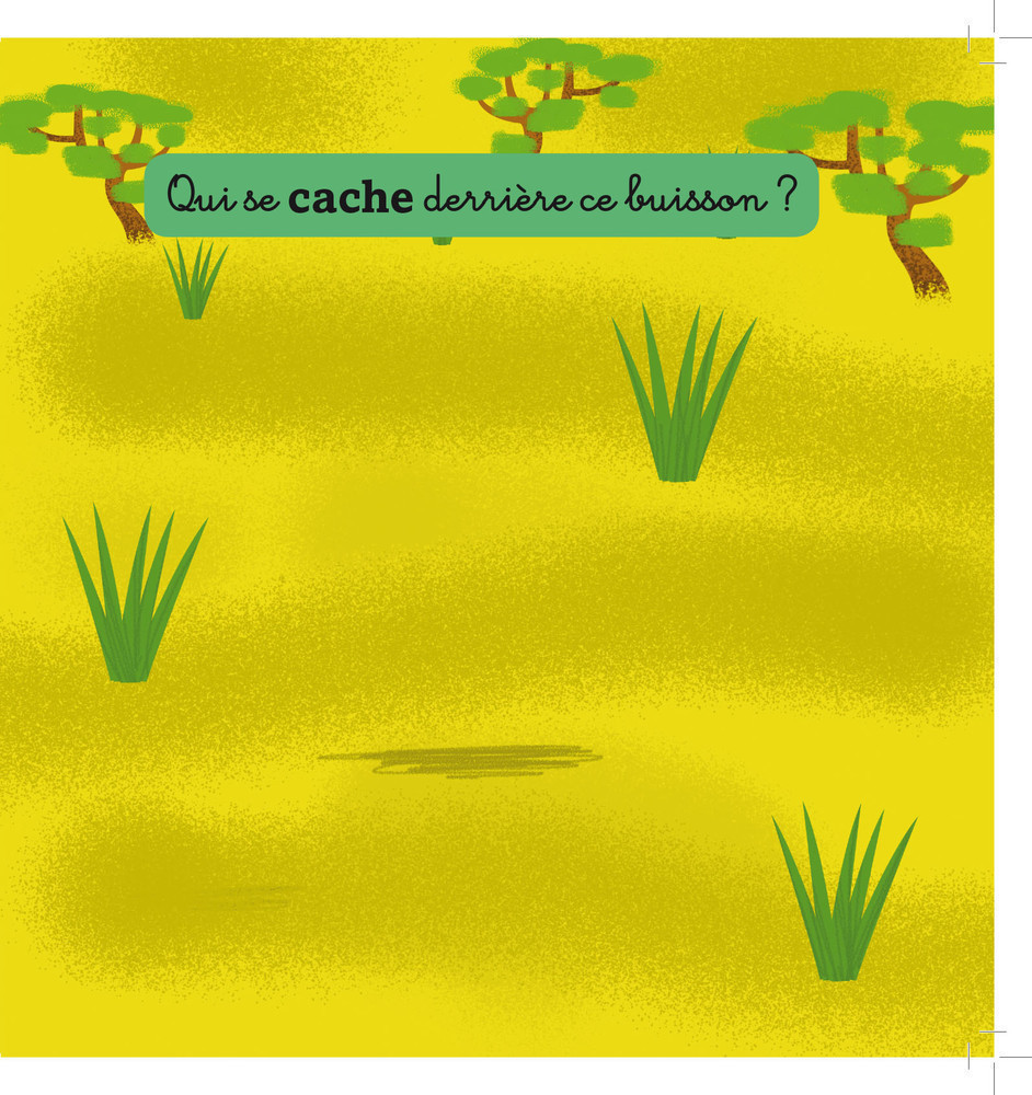 La Jungle Et La Savane