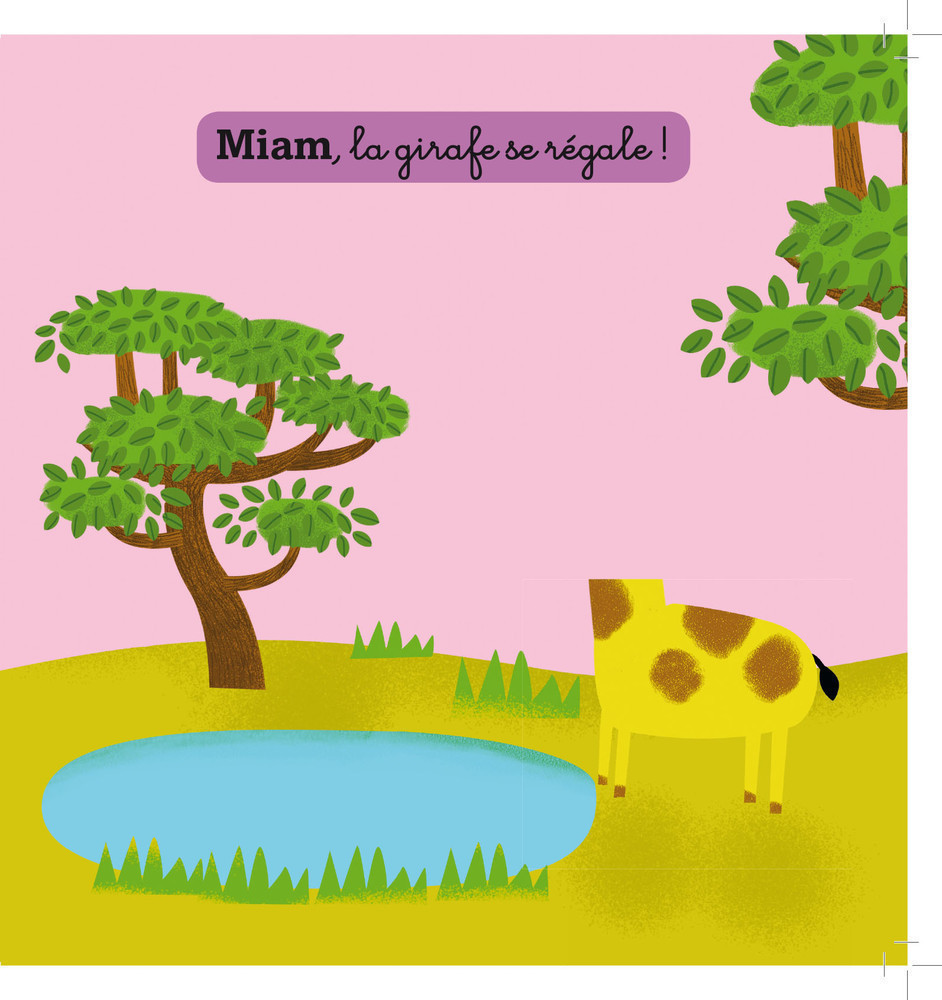 La Jungle Et La Savane