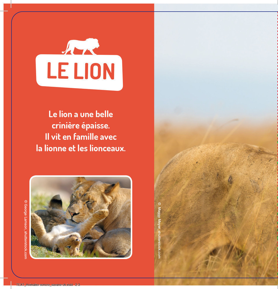 Les Animaux De La Savane