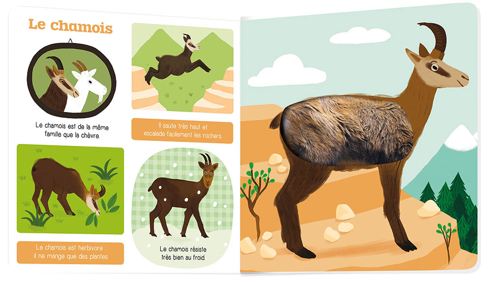 Les Animaux De La Montagne