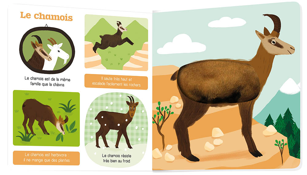 Les Animaux De La Montagne